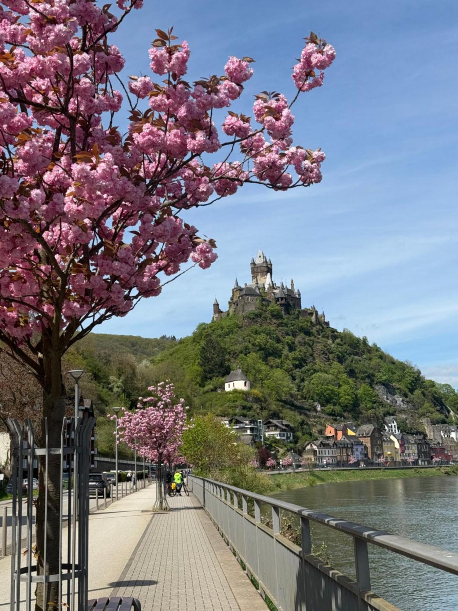 Apartamento Haus Rubi Cochem Exterior foto